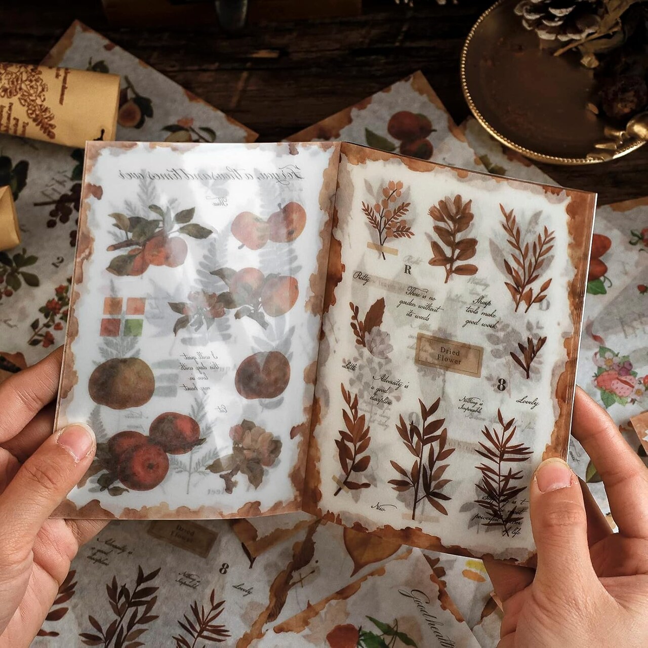 20 Sheets Nature Botanical Scrapbook Stickers - Leaf and Fruit (200 Pieces)